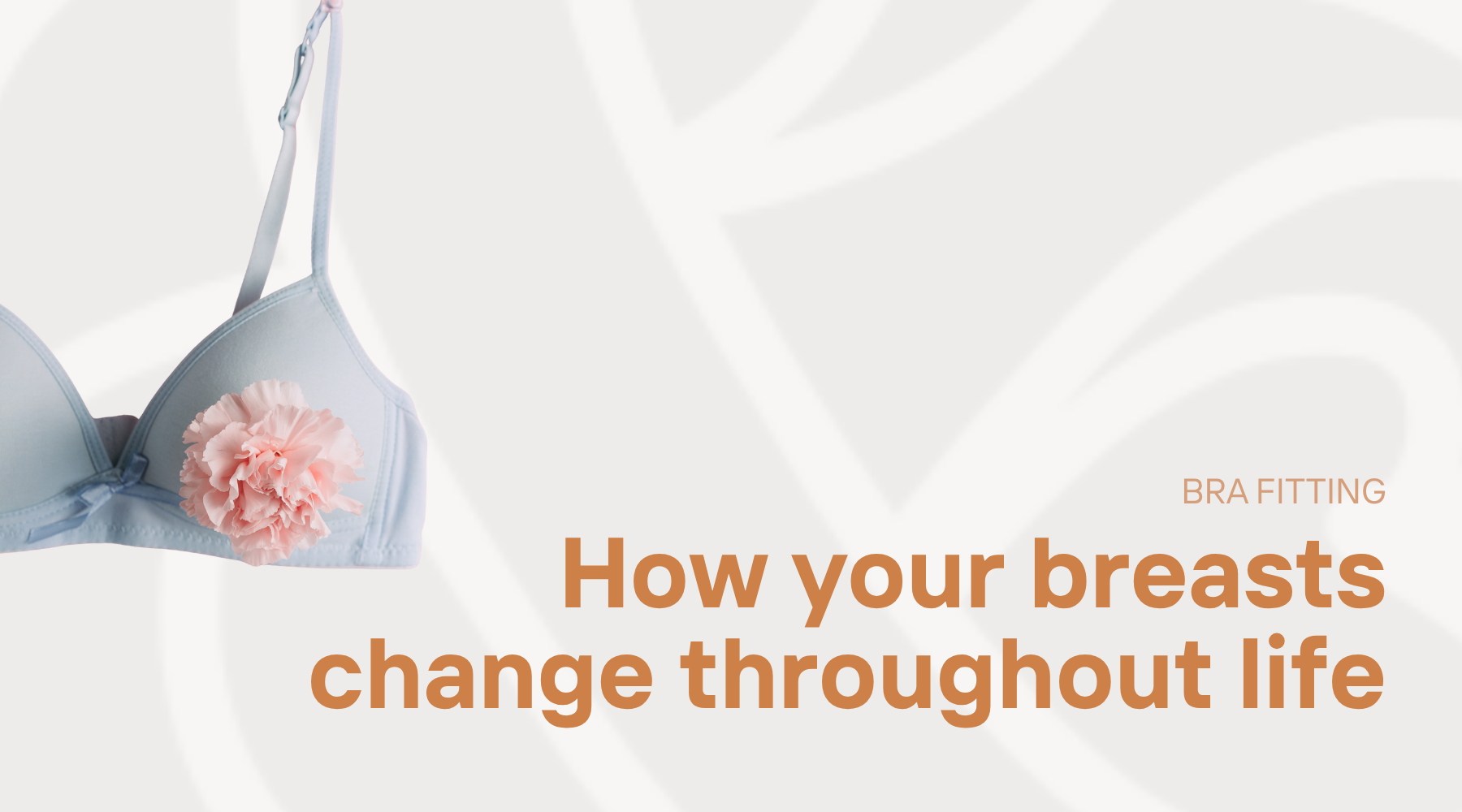"Howy our breasts change throughout life" heading with a pale blue girls bra