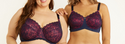 New Arrivals - Bras