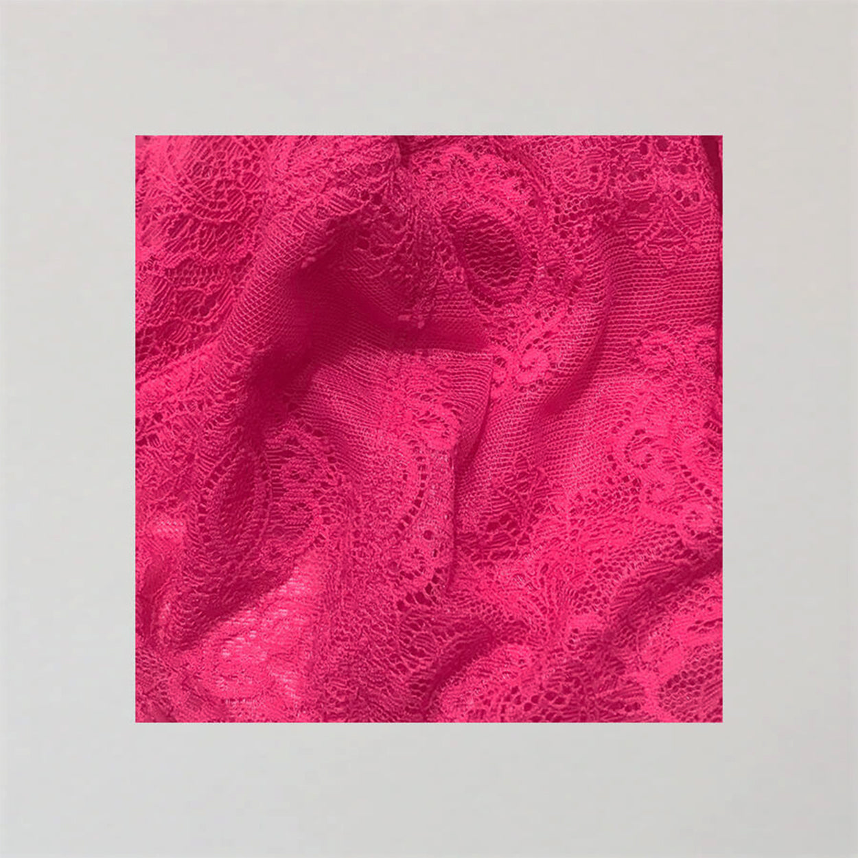 Baroque LaceFull Brief - Briar Rose